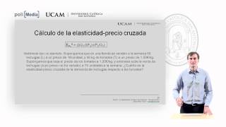 Microeconomía I  La elasticidad de la oferta y de la demanda 5  Alfonso Rosa [upl. by Wanfried573]