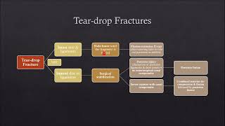 Spine Injuries 08  Subaxial Cervical Spine Injuries 03 [upl. by Cissie]