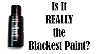 Black 40 Review  Is It REALLY Blackest Paint in The Universe [upl. by Monte]