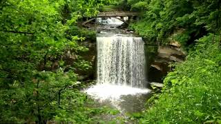 SOM DE CACHOEIRA PARA RELAXARSOM DE AGUAS PARA DORMIR E MEDITAR [upl. by Hospers59]