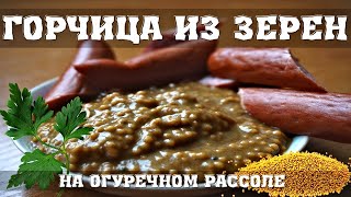 Горчица из ЗЕРЕН на Огуречном РАССОЛЕ🍯 [upl. by Joktan]