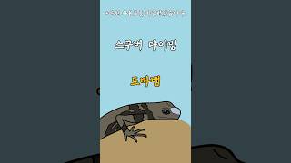 스쿠버 다이빙 도마뱀  아놀리스 아쿠아티쿠스 Anolis aquaticus [upl. by Even]