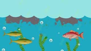 What is eutrophication [upl. by Watkins]