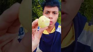 Superfood Amla 🫒🧑‍🍳 Day3 shorts ayurved [upl. by Ahseenak]