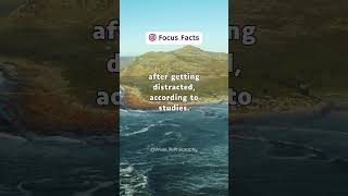 Stay Focused Get More Done 🎯 FocusFacts Productivity TimeManagement [upl. by Knudson]