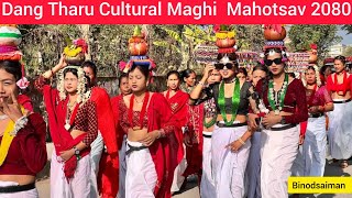 Tharu cultural Maghi Mahotsav 20802024 Dang Ghorahi Maghi Special Videos Tharu culture Maghi [upl. by Lrig]