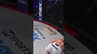 SICKENING LIVER KICK 🤢 Masayuki Kikuiri stops Herman Terrado at BellatorSanDiego bellator mma [upl. by Liponis]