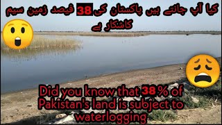 salinity  water logging problems in Pakistan  water logging and salinity in Pakistan [upl. by Aynat454]