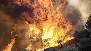 18 bodies found in Greek forest as wildfires ravage north of the country [upl. by Levi]