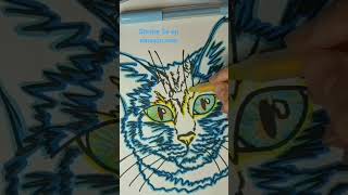 Stesha Se coloring book on amazoncom [upl. by Ettinger]