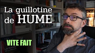 La guillotine de HUME Vite Fait [upl. by Wendalyn]