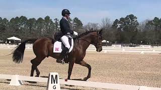 Quiberon  Carolina International CCI4 Dressage  336 [upl. by Song]