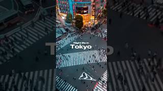 Tokyo Nightlife is INSANE [upl. by Eeloj]