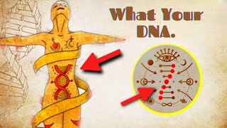 What Your DNA Actually Does Is Mind Blowing [upl. by Staw]