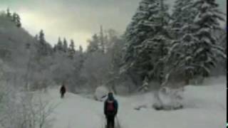 Hokkaido Powder Guides Skiing Daisetsuzan [upl. by Ytsihc967]