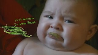 Babys First Reaction To Green Beans  GelaTV [upl. by Arthur101]