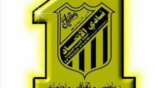 النمر من يلعب when tigers play [upl. by Nissy]