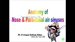 Anatomy of the NOSE amp PARANASAL AIR SINUSES  Dr Yusuf [upl. by Ardyce]