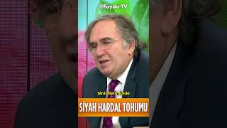 Siyah Hardal Tohumu Mucizevi Faydası ibrahimsaraçoğlu faydatv şifalıbitkiler siyahhardaltohumu [upl. by Anaxor]