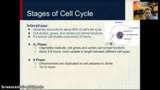 IB 16  Cell Cycle [upl. by Arvad706]