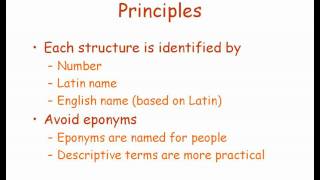 International Terminology for Anatomy amp Physiology [upl. by Bow678]