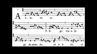 Ego vos elegi 6th Sunday of Easter Alleluia II B [upl. by Annod]