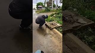 Debris blocking the drain has been removed unclog remove culvert shorts [upl. by Hoppe]