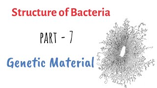 Structure of Bacteria  Part 7  Genetic Material [upl. by Nonahs]