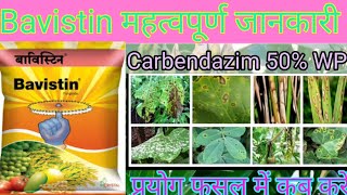 Carbendazim  Bavistin  bavistin fungicide uses  bavistin fungicide  carbendazim 50 wp uses [upl. by Lough]