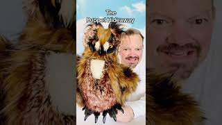 Puppet of the Day– Great Horned Owl made by Folkmanis Puppets –The Puppet Hideaway with Eric Thomsen [upl. by Lednek]