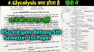 Glycolysis क्या है  EMP Pathway  Plant Physiology  BSc 3rd year Botany 5th semester 1st paper [upl. by Debbee878]