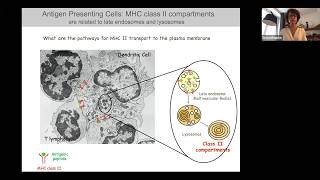 The Cell Biology of Extracellular Vesicles From Immunity to Pigmentation by Graça Raposo [upl. by Linnea]