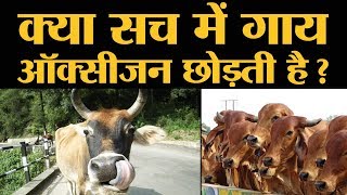 Rajasthan और Uttarakhand सरकार के गाय पर दावे की सच्चाई क्या है l Cow Oxygen [upl. by Ahsen]