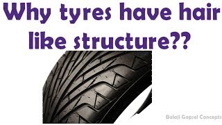 Why tyres have hair like structure  GK Question  Balaji Gopsel Concepts [upl. by Nairolf]