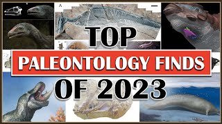 Top Paleontology Finds of 2023 [upl. by Manara229]