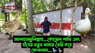 আলহামদুলিল্লাহকোয়েল পাখি এবং হাঁসের নতুন খামার তৈরি করে ফেললাম🐦🦆 [upl. by Anaugahs742]