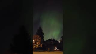 🍁 Northern Lights Calgary autumn2024 October 10th calgary canada northenlights auroraboreal [upl. by Adnauqal]