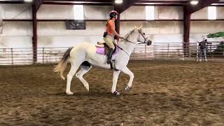 101224 18” vertical jump class attempt Rowe amp meadow schooling show prairie rose arena Elkhart IA [upl. by Redle]