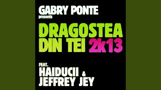 Dragostea Din Tei 2k13 Radio Edit [upl. by Atinihc926]