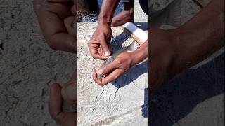 Suddenly A Big Expensive Fish Caught in Live Mullet Fish Bait fishing fishingvideos thoondiulagam [upl. by Horwitz610]