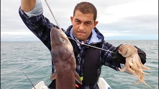 UK Boat Fishing  CONGER EEL fishing on a reef at anchor [upl. by Amii]