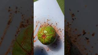 spicy testing guava subscribe food foodclips foodshorts bangladesh song [upl. by Hniv]