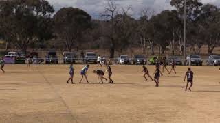 Tingha Tigers V Armidale Rams [upl. by Harolda]