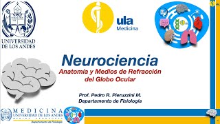 Anatomía y medios de refracción del globo ocular [upl. by Oecam330]