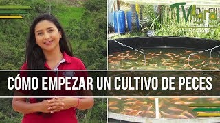 Como empezar un Cultivo de Peces  Piscicultura  TvAgro por Juan Gonzalo Angel [upl. by Anassor]