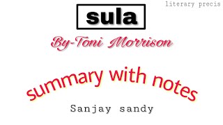 Sula by Toni Morrison ¦¦ Summary in hindi [upl. by Obel]