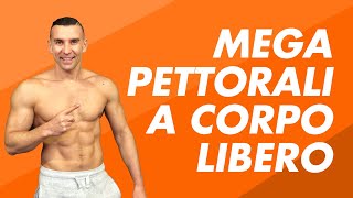 Mega Pettorali a corpo libero Allenamento 10 minuti [upl. by Heiskell]