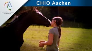 CHIO Aachen Wo Träume Wirklichkeit werden [upl. by Linoel]