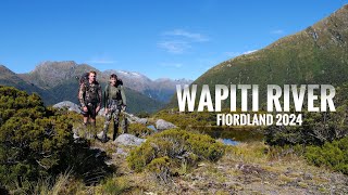 Fiordland Wapiti Hunting Adventure  2024 [upl. by Atinrahs]