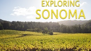 Exploring Sonoma Where to Eat Drink Hike and Relax [upl. by Gader369]